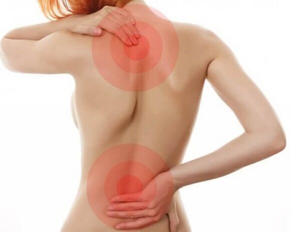 Spine