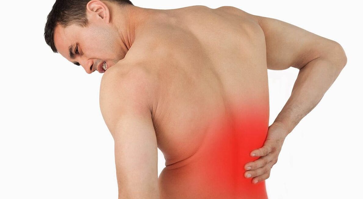 The causes of back pain